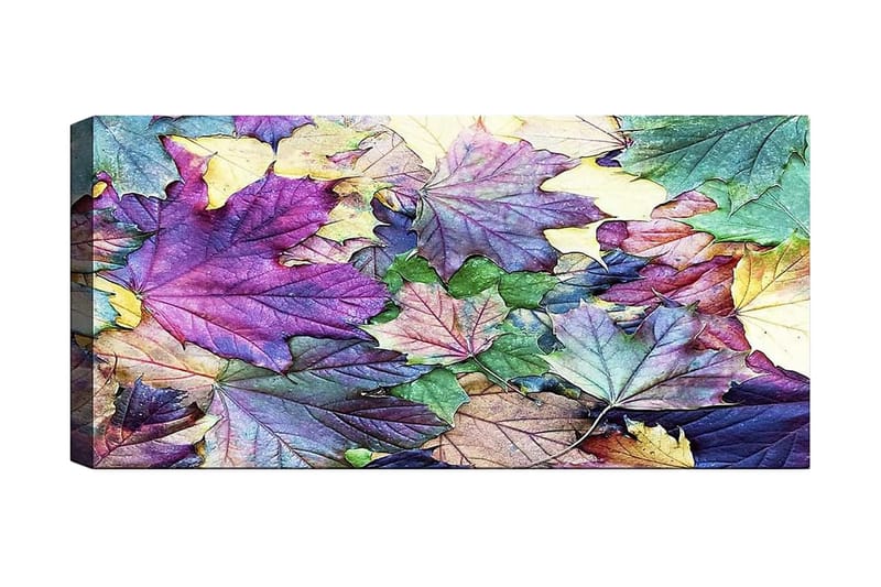 Canvastavla YTY Floral & Botanical Flerfärgad - 120x50 cm - Heminredning - Väggdekor - Posters