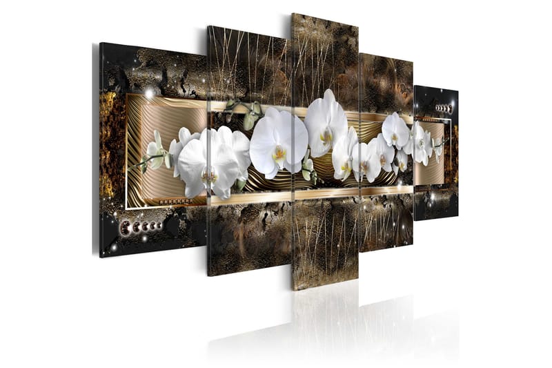Tavla The Dream Of A Orchids 200x100 - Finns i flera storlekar - Heminredning - Väggdekor - Canvastavlor