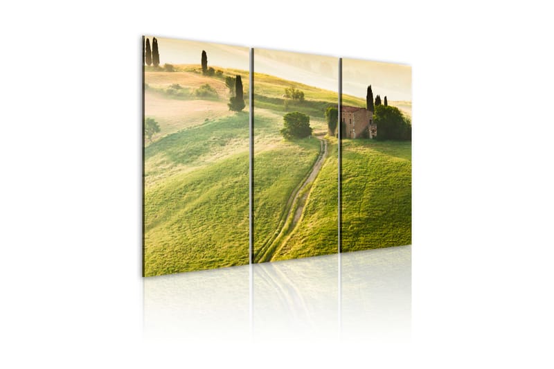 Tavla Under The Tuscan Sun 120x80 - Finns i flera storlekar - Heminredning - Väggdekor - Canvastavlor