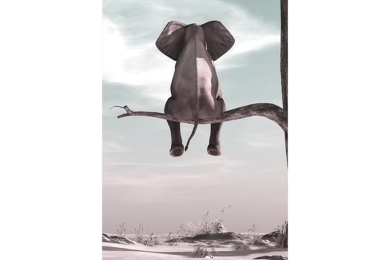 Elephant Poster 50x70 cm - Multifärgad - Heminredning - Väggdekor - Posters