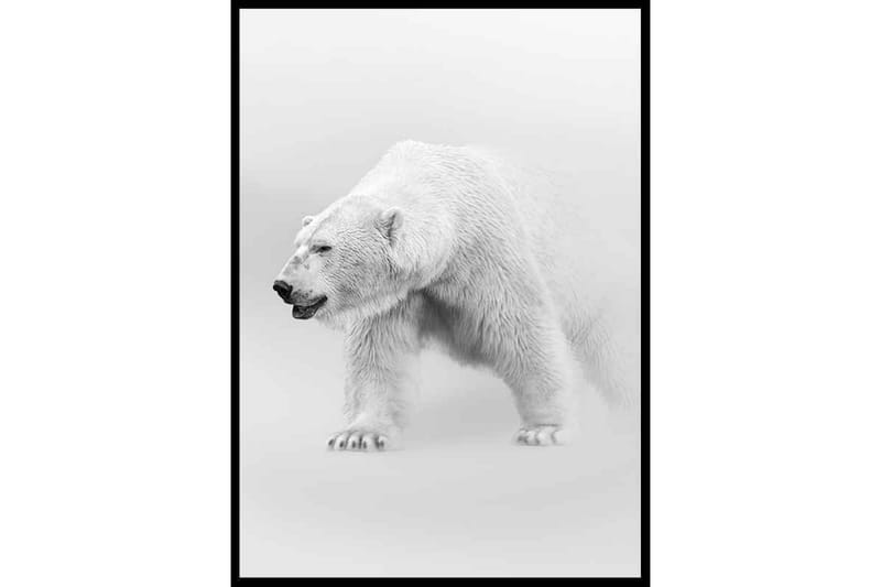 Faded Polar Bear - Finns i flera storlekar - Heminredning - Väggdekor - Posters