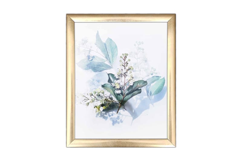 Tavla Floral med Ram Flerfärgad - 23,5x28,5 cm - Inredning - Väggdekor - Ram & tavelram - Ram poster