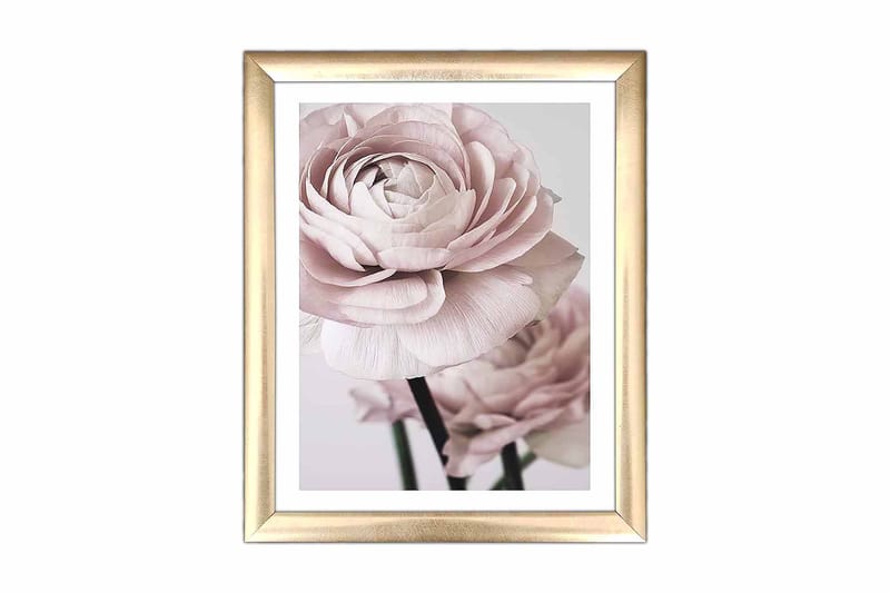 Tavla Floral med Ram Flerfärgad - 23,5x28,5 cm - Inredning - Väggdekor - Ramar - Poster ram