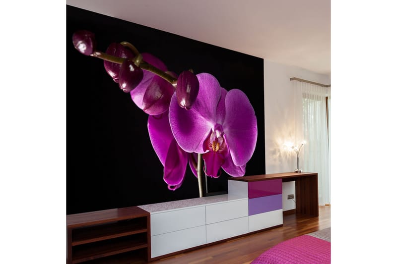 Fototapet Elegant Orchids 300x231 - Artgeist sp. z o. o. - Inredning - Väggdekor - Tapet & tapettillbehör - Fototapet