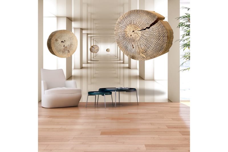 Fototapet Flying Discs Of Wood 300x210 - Artgeist sp. z o. o. - Inredning - Väggdekor - Tapet & tapettillbehör - Fototapet