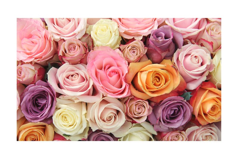 Fototapet Pastel Roses 450x270 - Artgeist sp. z o. o. - Inredning - Väggdekor - Tapet & tapettillbehör - Fototapet