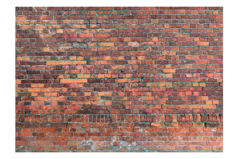 Fototapet Vintage Wall Red Brick 300x210 - Artgeist sp. z o. o. - Inredning - Väggdekor - Tapet & tapettillbehör - Fototapet