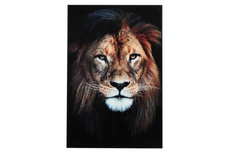Lejon Tavla - 80x120 cm Flerfärgad - Heminredning - Väggdekor - Ramar