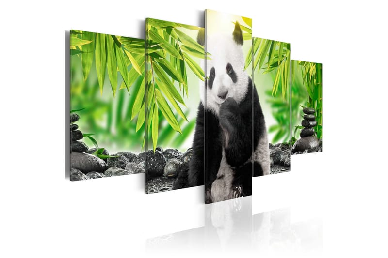 Tavla Sweet Little Panda 200x100 - Finns i flera storlekar - Heminredning - Väggdekor - Canvastavlor