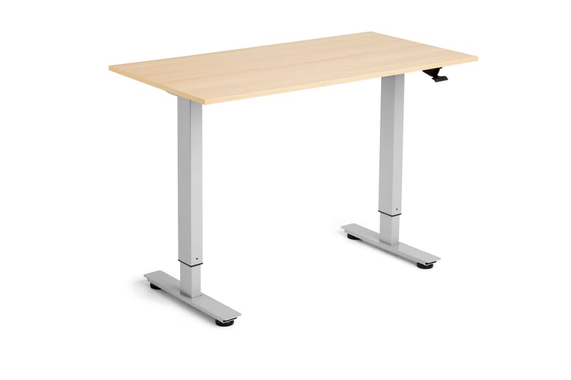 Flexidesk Höj och sänkbart bord Ek/Silver