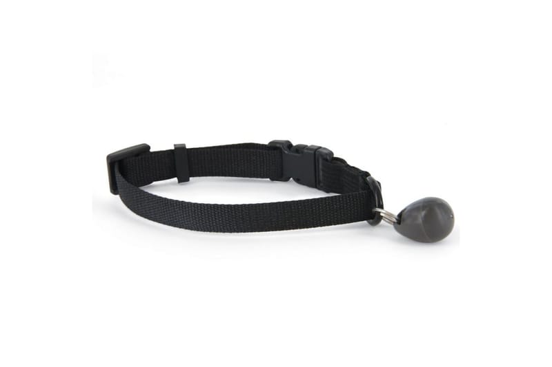 PetSafe Magnetisk halsbandsnyckel 480 svart 5007 - Sport & fritid - För djuren - För hund - Hundtillbehör & hundaccessoarer - Hundkoppel & hundhalsband