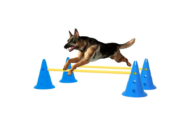 Hundhinder blå och gul - Blå - Sport & fritid - För djuren - Hund - Hundtillbehör & hundaccessoarer - Hundleksak & gosedjur hund