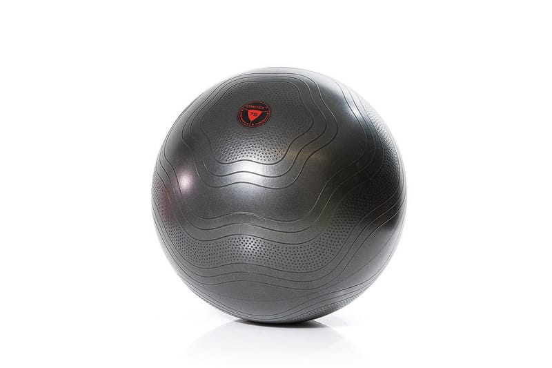 Pilatesboll Gymstick Exercise Ball - Silver - Sport & fritid - Hemmagym - Vikter & skivstänger - Medicinboll