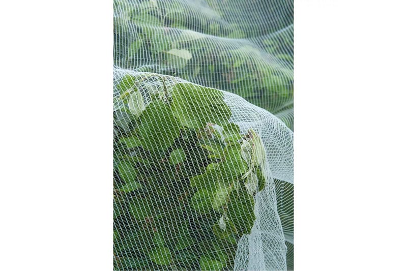 Nature Insektsnät mot äpplevecklare 6030450 - Trädgård & spabad - Utemiljö - Trädgårdsdekoration - Myggnät & insektsnät