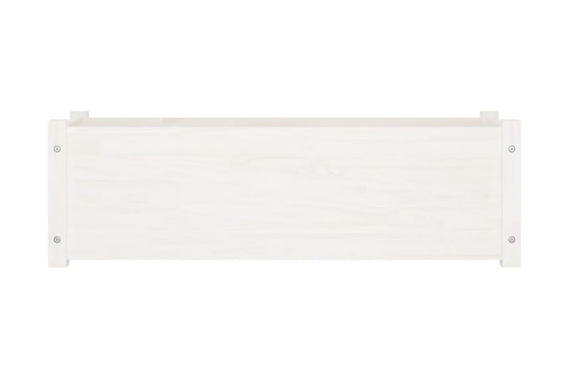 Odlingslåda vit 100x31x31 cm massiv furu - Vit - Utemöbler - Övrigt utemöbler - Tillbehör utomhus - Utomhuskrukor