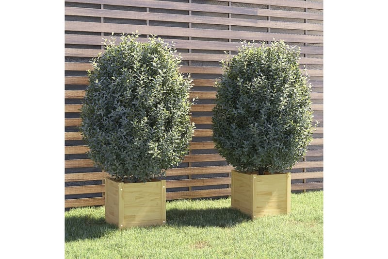 Odlingslådor 2 st 40x40x40 cm massiv furu - Brun - Utemöbler - Övrigt utemöbler - Tillbehör utomhus - Utomhuskrukor
