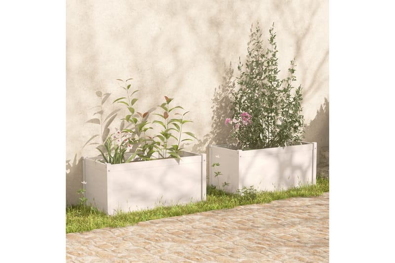 Odlingslådor 2 st vit 100x50x50 cm massiv furu - Vit - Utemöbler - Övrigt utemöbler - Tillbehör utomhus - Utomhuskrukor